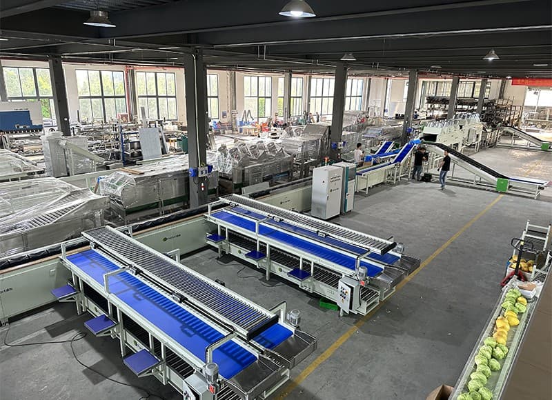 images/1673001984409Broccoli Grading machine.jpg